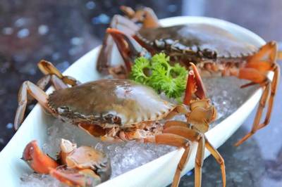 198元龍蝦海鮮拼盤免費送！品味鮮香，暢享海鮮火鍋盛宴